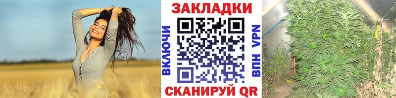 Купить наркоту Светлогорск ГЕРОИН МАРИХУАНА Кокаин Альфа ПВП АМФ