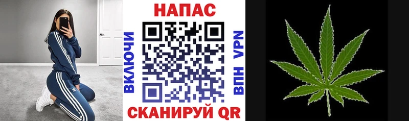 Бошки марихуана THC 21%  Светлогорск 